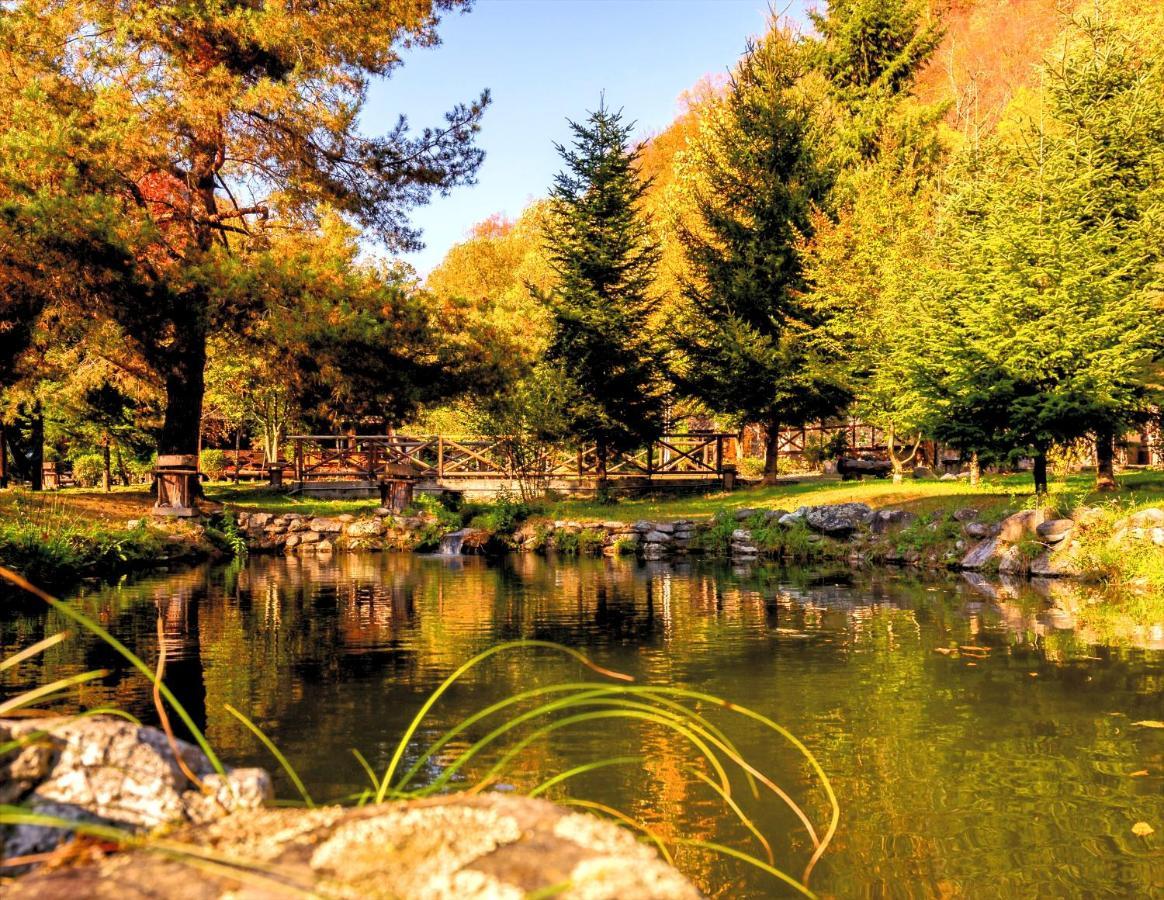 Fratii Jderi - Utopia Verde Brezoi Exterior foto